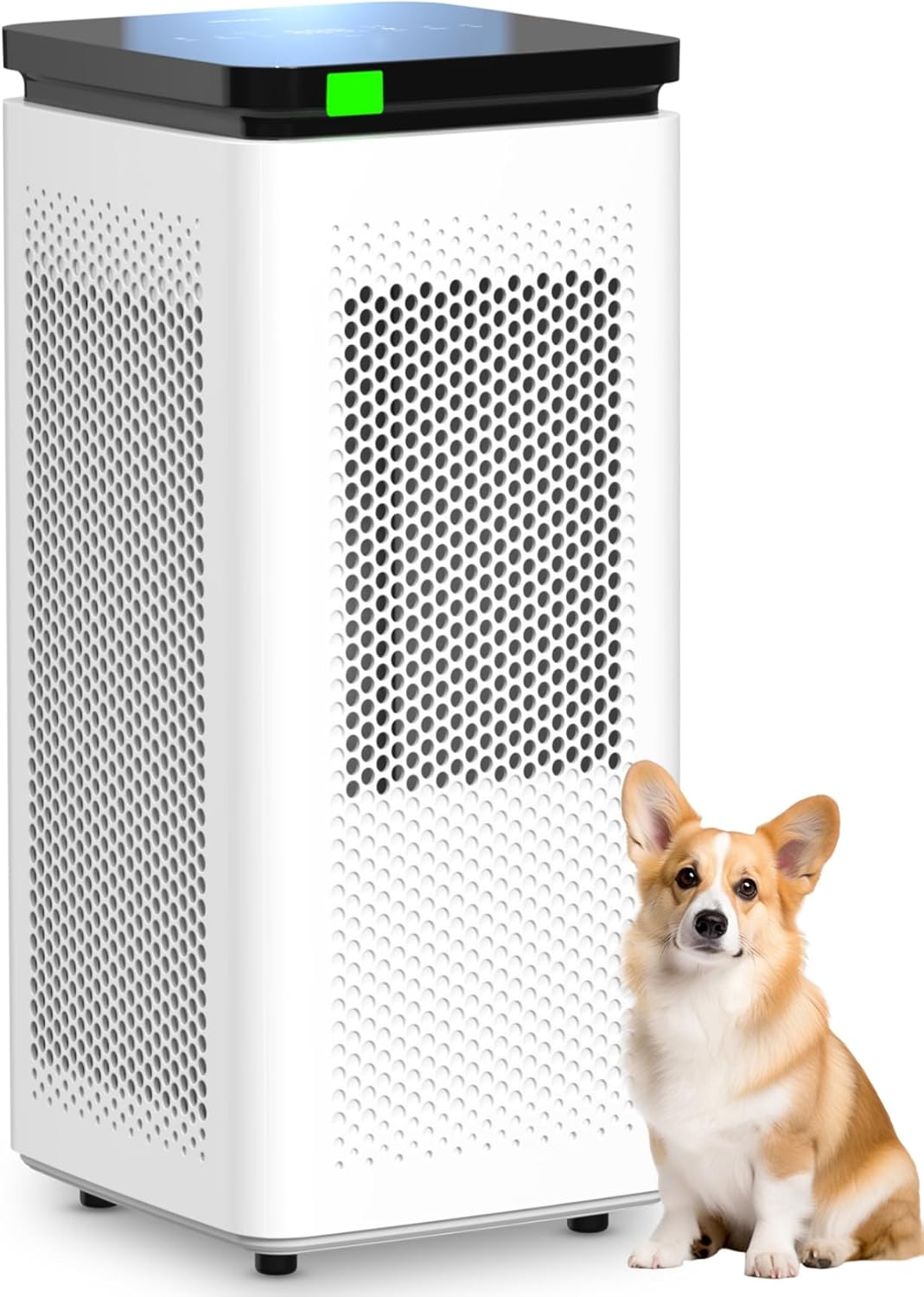 Air Purifiers for Home Large Rooms up to 3500 Ft², 0.1 Micron 99.97% Filtration with Carbon Filter, 235 CADR, for Pollen, Pet Odor, Smoke, , 30dB Sleep Mode, PM2.5 Display
